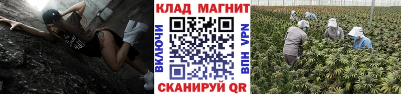 Все наркотики Струнино Псилоцибиновые грибы  Кокаин  Гашиш  OMG вход  АМФЕТАМИН  Конопля  Alpha PVP  Мефедрон 