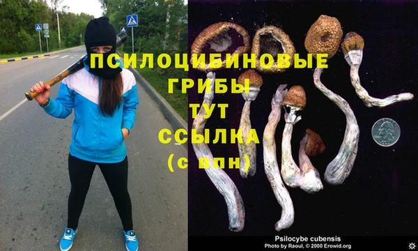 стаф Армянск