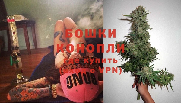 mdpv Няндома