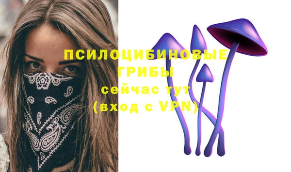 гашишное масло Аркадак