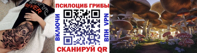 закладка Струнино Галлюциногенные грибы Cubensis